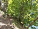 Forêt après le Saut